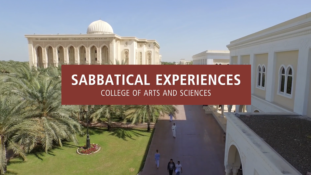 CAS Sabbatical Dr Sadok Kallel